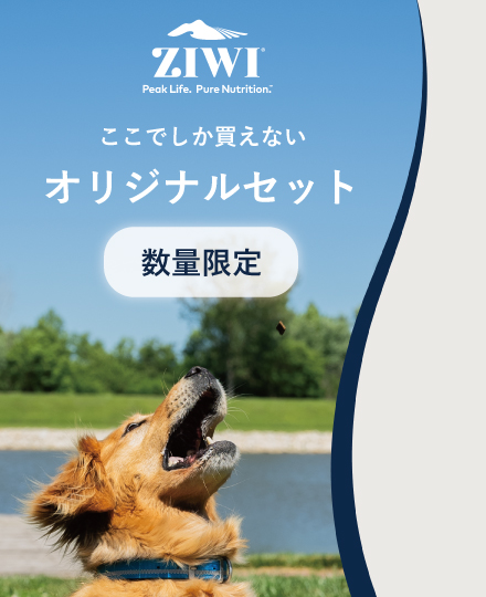 ZIWIサマーギフト