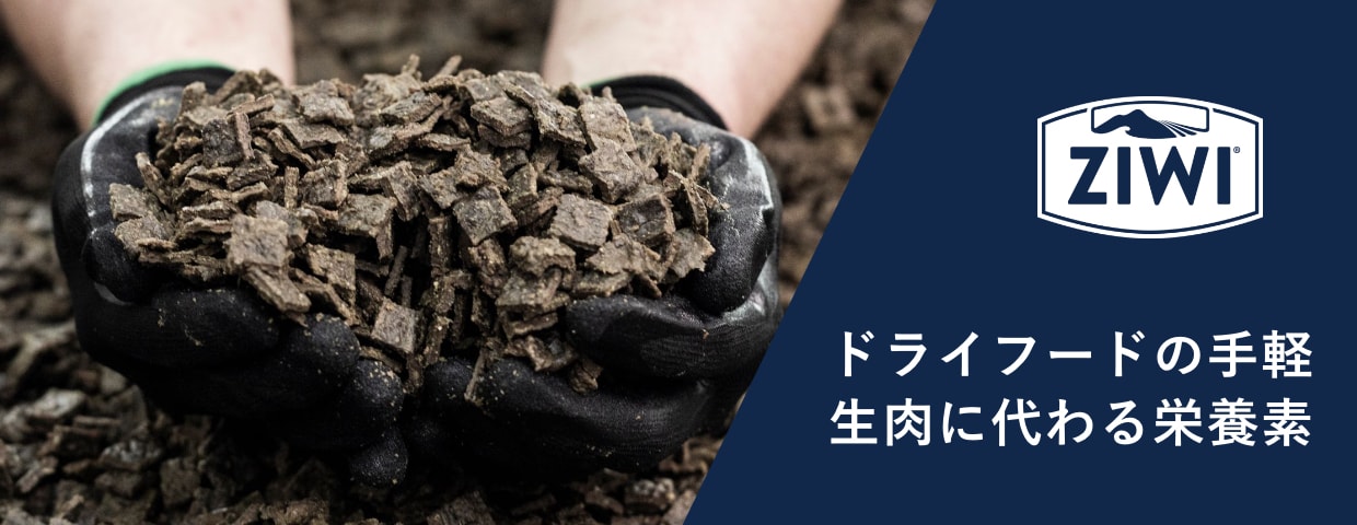 ドライフードの手軽さ　生肉に代わる栄養素