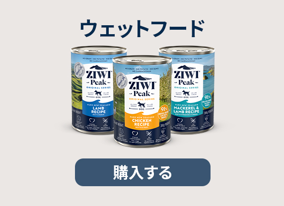 ZIWI（ジウィ） ｜ Trumpets Official Shop