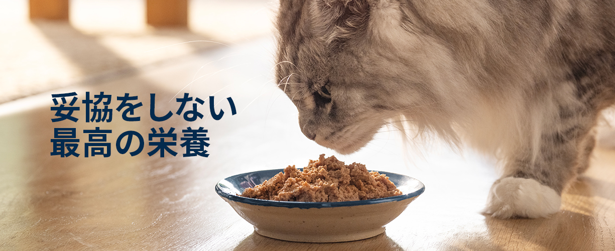 全犬種対象一覧ページ ｜ Trumpets Official Shop