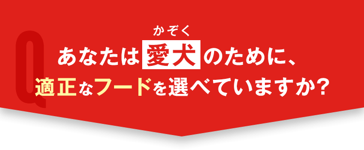 あなたは愛犬のために適正なフードを選べますか？