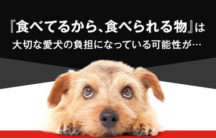 「食べてるから、食べられるもの」は大切な愛犬の負担になっている可能性が…