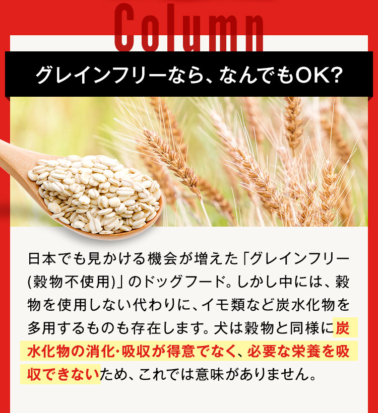 グレインフリーならなんでもOK？