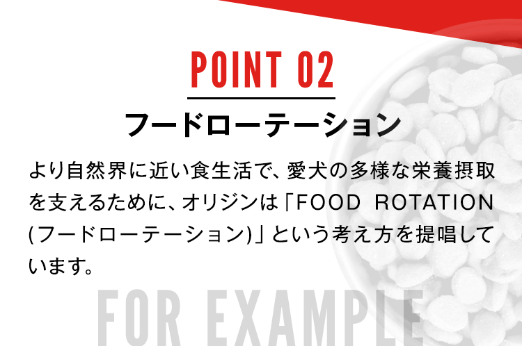 フードローテーション