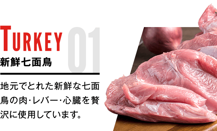 新鮮七面鳥