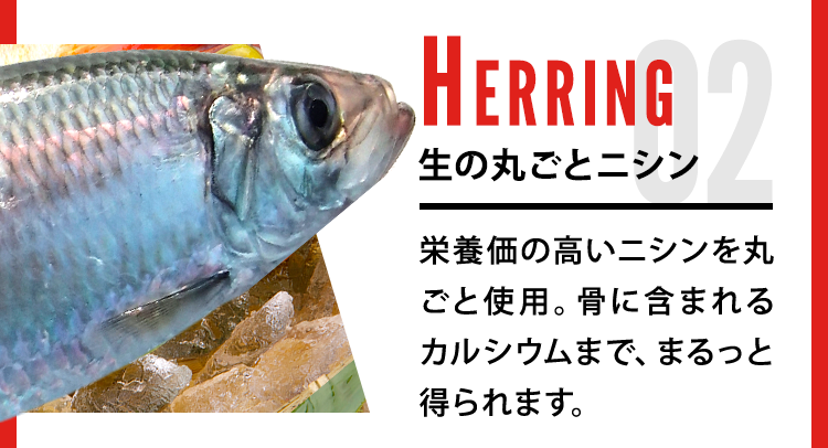 生の丸ごとメバル