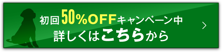 詳しくはこちらから