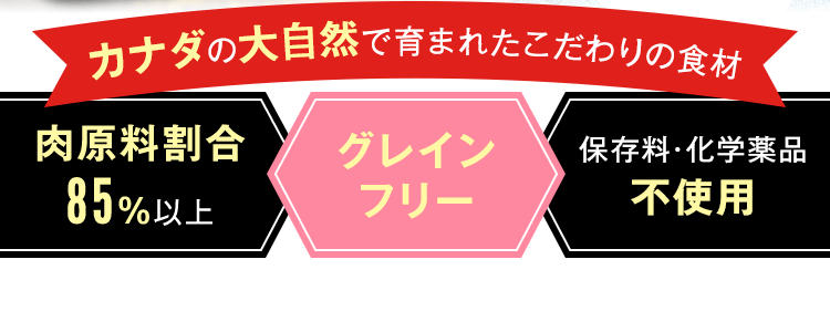 ORIJEN SMALL BREED 小型犬想いの小粒タイプ