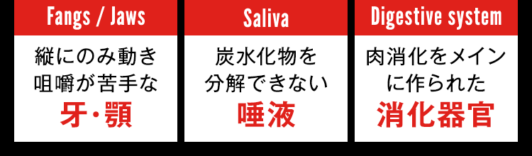 牙・顎、唾液、消化器官