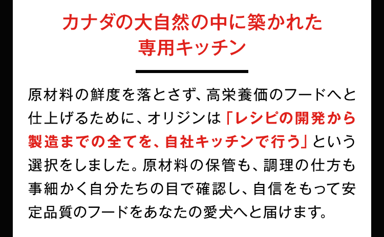 カナダの大自然の中に築かれた専用キッチン