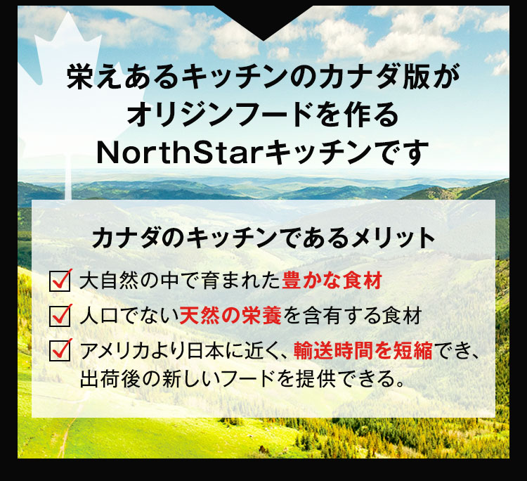 栄えあるキッチンのカナダ版がオリジンフードを作るNorthStarキッチンです