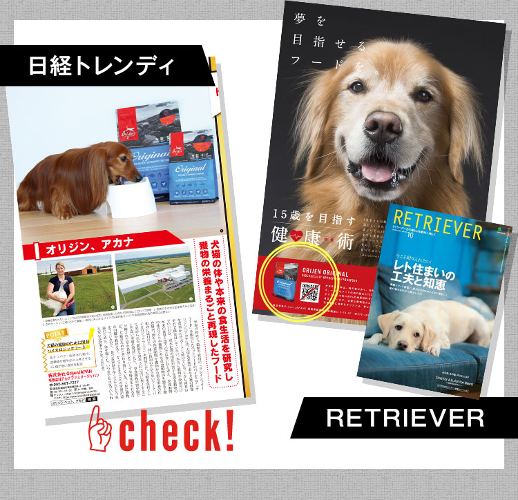 スモールブリードLP | Trumpets Official Shop スモールブリードLP | Trumpets Official Shop
