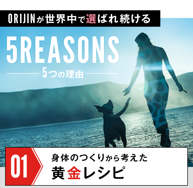 5つの理由　黄金レシピ
