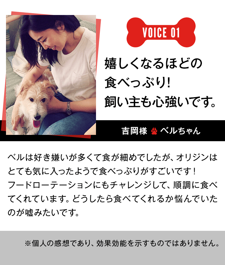 嬉しくなるほどの食べっぷり！飼い主も心強いです