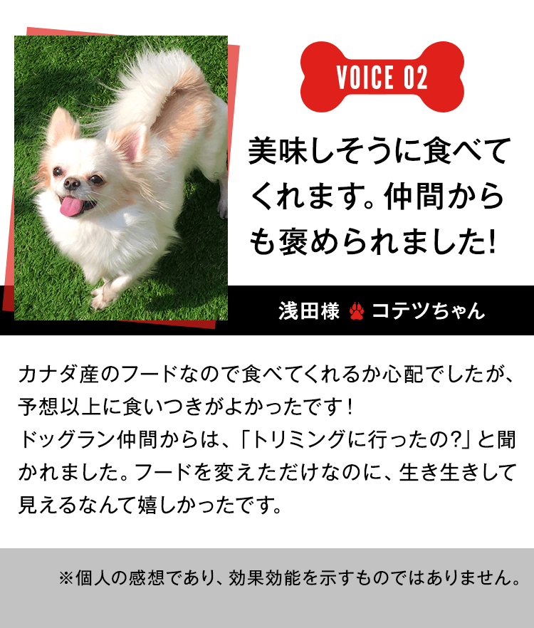 美味しそうに食べてくれます。仲間からも褒められました！